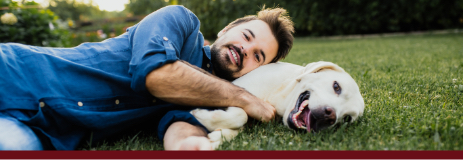 Dog lying with owner on grass